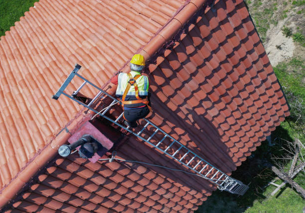 Best Roof Moss and Algae Removal  in Lakeview, CA