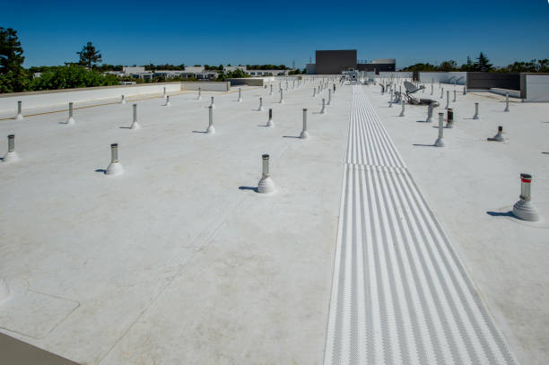 Best Asphalt Shingle Roofing  in Lakeview, CA